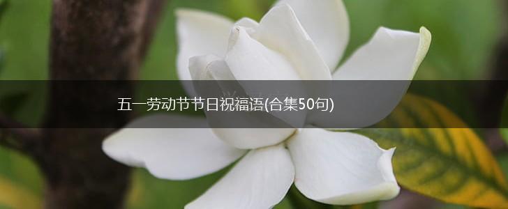 五一劳动节节日祝福语(合集50句),第1张