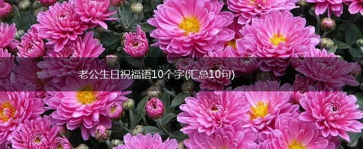 老公生日祝福语10个字(汇总10句),第1张