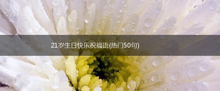 21岁生日快乐祝福语(热门50句),第1张