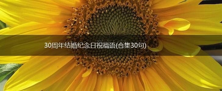 30周年结婚纪念日祝福语(合集30句),第1张