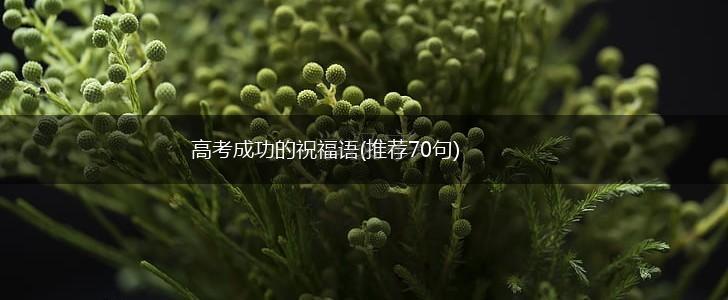 高考成功的祝福语(推荐70句),第1张