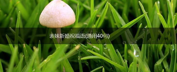 表妹新婚祝福语(通用40句),第1张