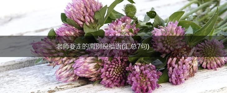 老师要走的离别祝福语(汇总7句),第1张