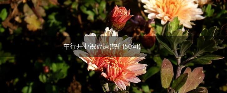 车行开业祝福语(热门50句),第1张