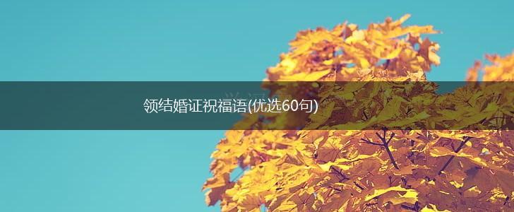 领结婚证祝福语(优选60句),第1张