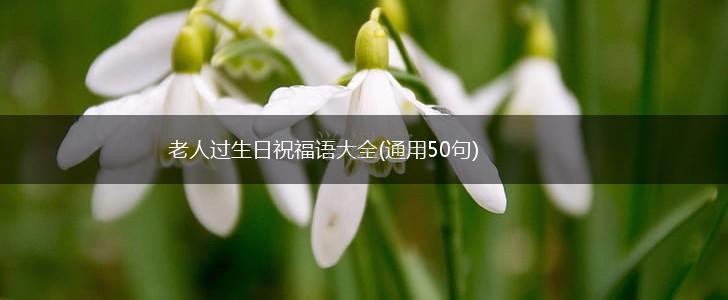 老人过生日祝福语大全(通用50句),第1张