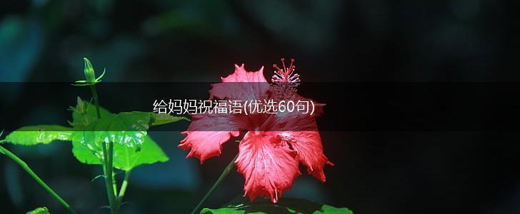 给妈妈祝福语(优选60句),第1张