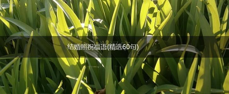 结婚照祝福语(精选60句),第1张