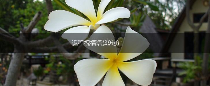 返程祝福语(39句),第1张