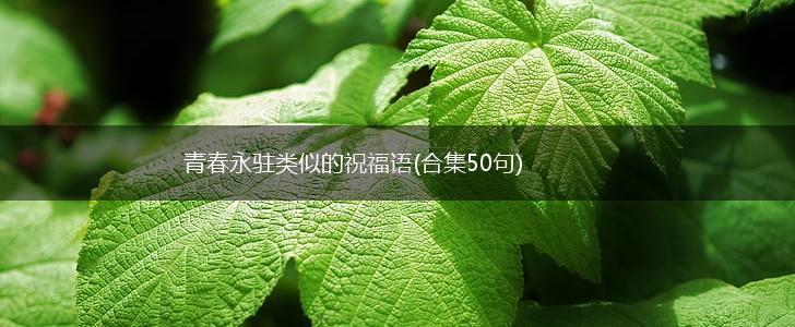 青春永驻类似的祝福语(合集50句),第1张