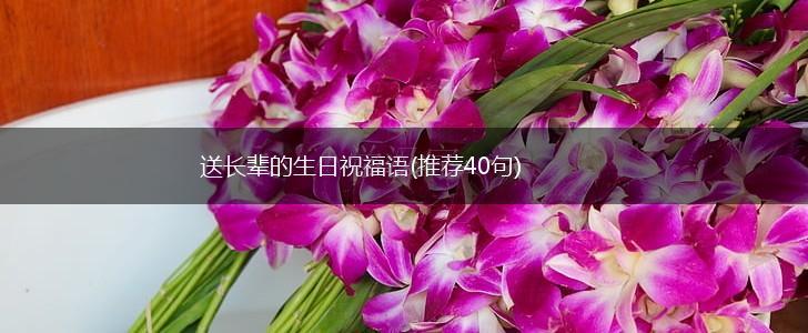 送长辈的生日祝福语(推荐40句),第1张