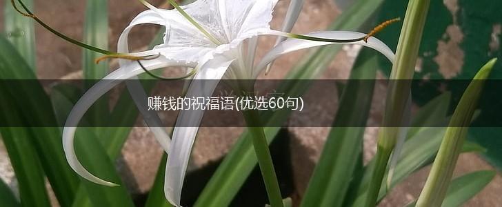 赚钱的祝福语(优选60句),第1张