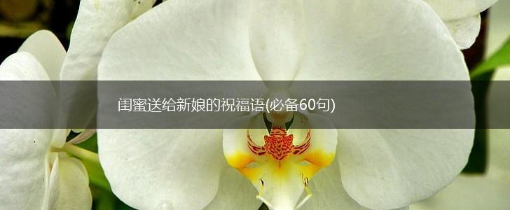 闺蜜送给新娘的祝福语(必备60句),第1张