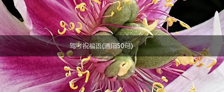 驾考祝福语(通用50句),第1张