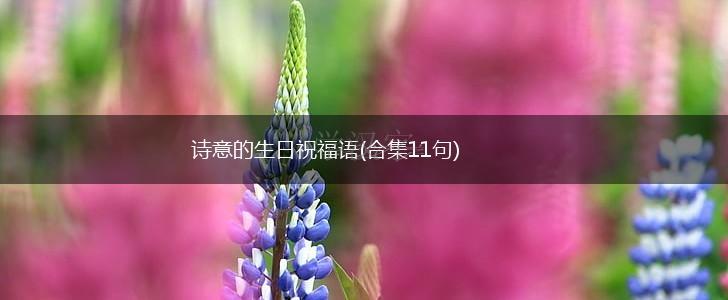 诗意的生日祝福语(合集11句),第1张