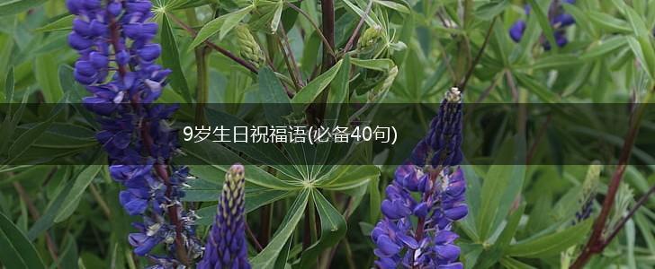 9岁生日祝福语(必备40句),第1张