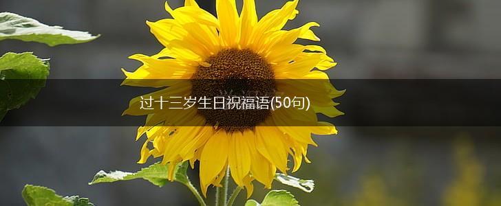 过十三岁生日祝福语(50句),第1张