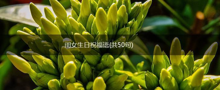 闺女生日祝福语(共50句),第1张