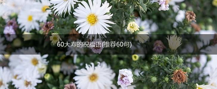 60大寿的祝福语(推荐60句),第1张