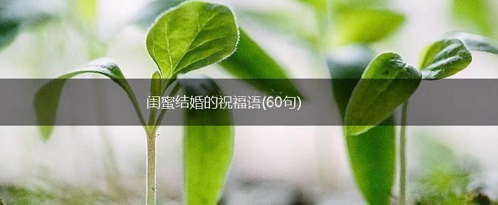 闺蜜结婚的祝福语(60句),第1张