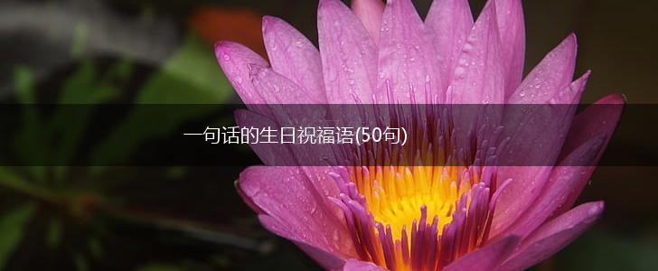 一句话的生日祝福语(50句),第1张