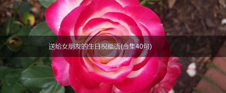 送给女朋友的生日祝福语(合集40句),第1张