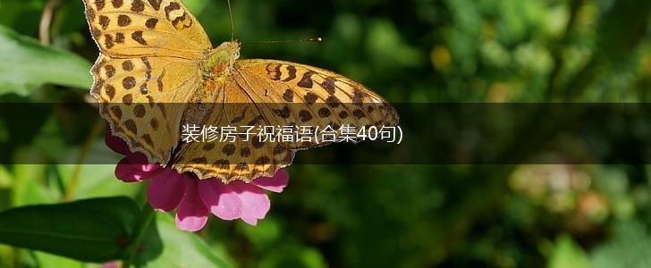 装修房子祝福语(合集40句),第1张