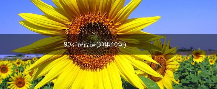 90岁祝福语(通用40句),第1张