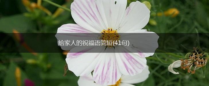 给家人的祝福语简短(41句),第1张