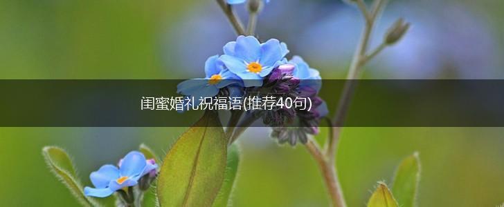 闺蜜婚礼祝福语(推荐40句),第1张