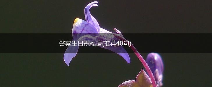 警察生日祝福语(推荐40句),第1张