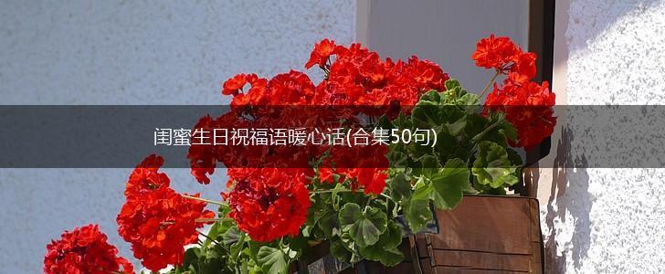 闺蜜生日祝福语暖心话(合集50句),第1张