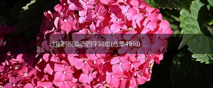 过年的祝福语四字词语(合集49句),第1张