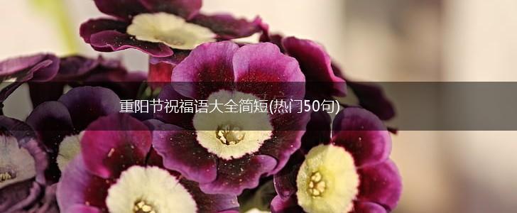 重阳节祝福语大全简短(热门50句),第1张