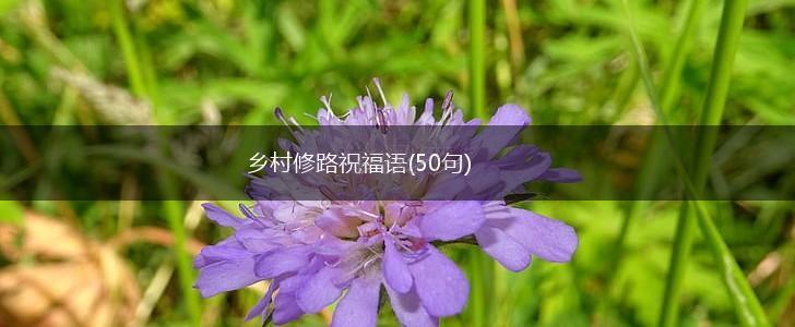 乡村修路祝福语(50句),第1张