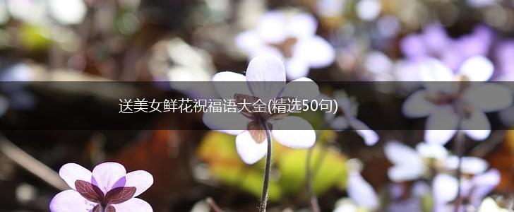 送美女鲜花祝福语大全(精选50句),第1张