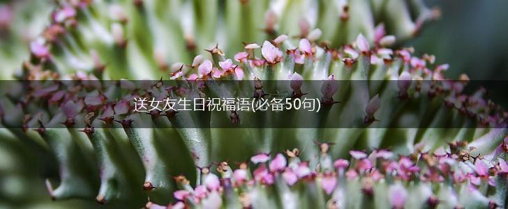 送女友生日祝福语(必备50句),第1张