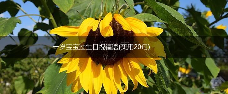 一岁宝宝过生日祝福语(实用20句),第1张