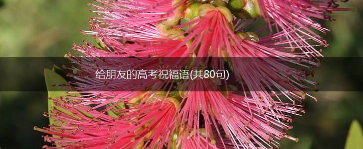 给朋友的高考祝福语(共80句),第1张