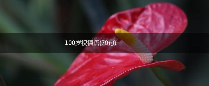 100岁祝福语(70句),第1张