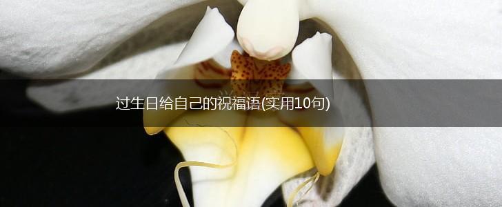 过生日给自己的祝福语(实用10句),第1张