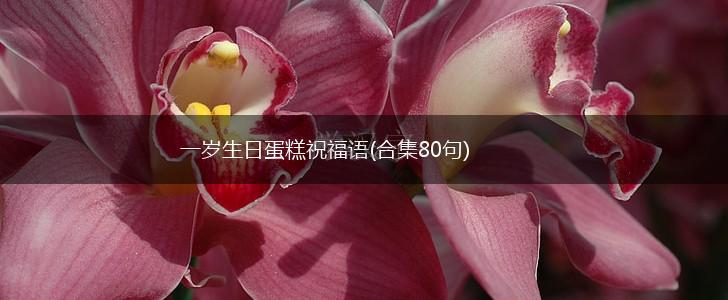 一岁生日蛋糕祝福语(合集80句),第1张