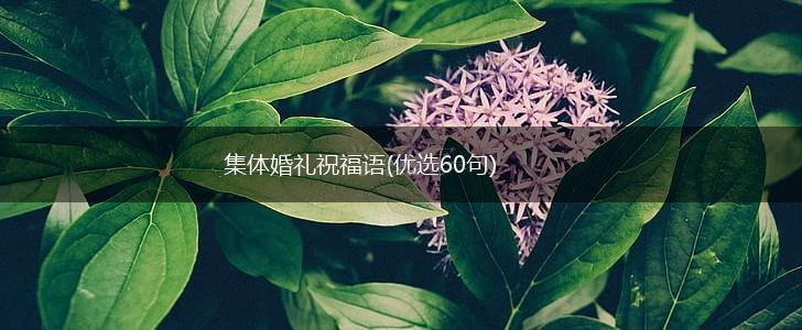 集体婚礼祝福语(优选60句),第1张