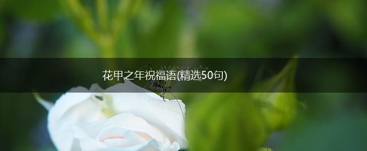 花甲之年祝福语(精选50句),第1张