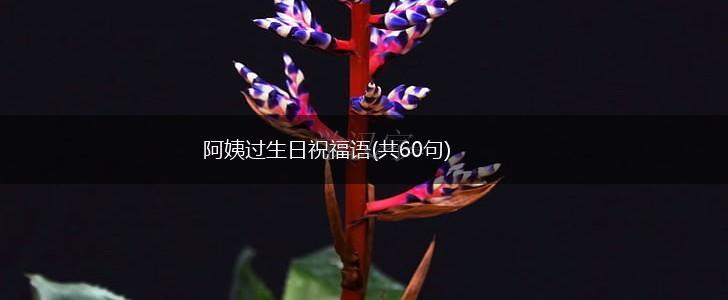 阿姨过生日祝福语(共60句),第1张