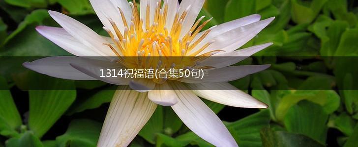 1314祝福语(合集50句),第1张