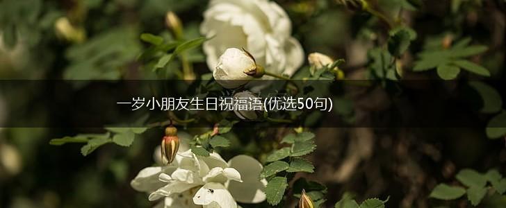 一岁小朋友生日祝福语(优选50句),第1张