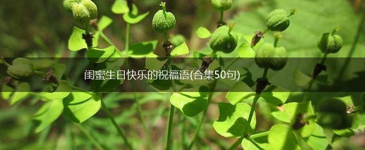 闺蜜生日快乐的祝福语(合集50句),第1张