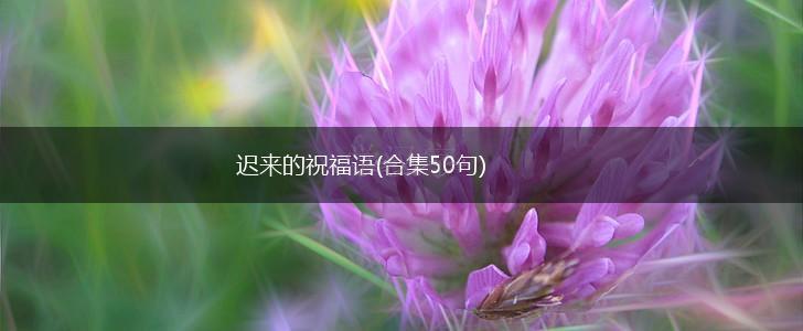 迟来的祝福语(合集50句),第1张