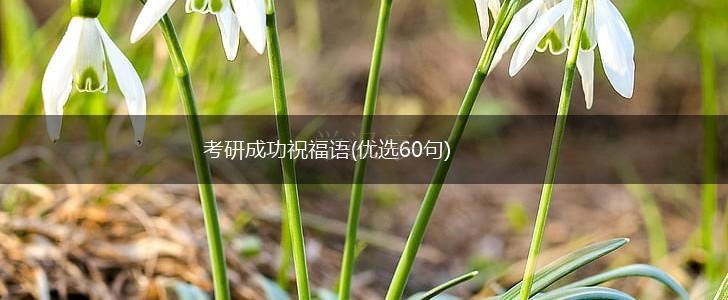 考研成功祝福语(优选60句),第1张